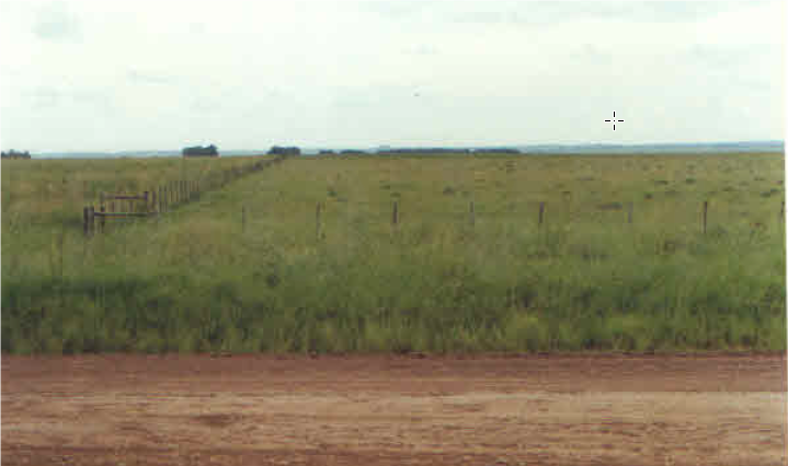 UMA FRAÇÃO DE CAMPO com área de 3.235.094m² , Matr. 14.458, localizado em Alegrete - RS