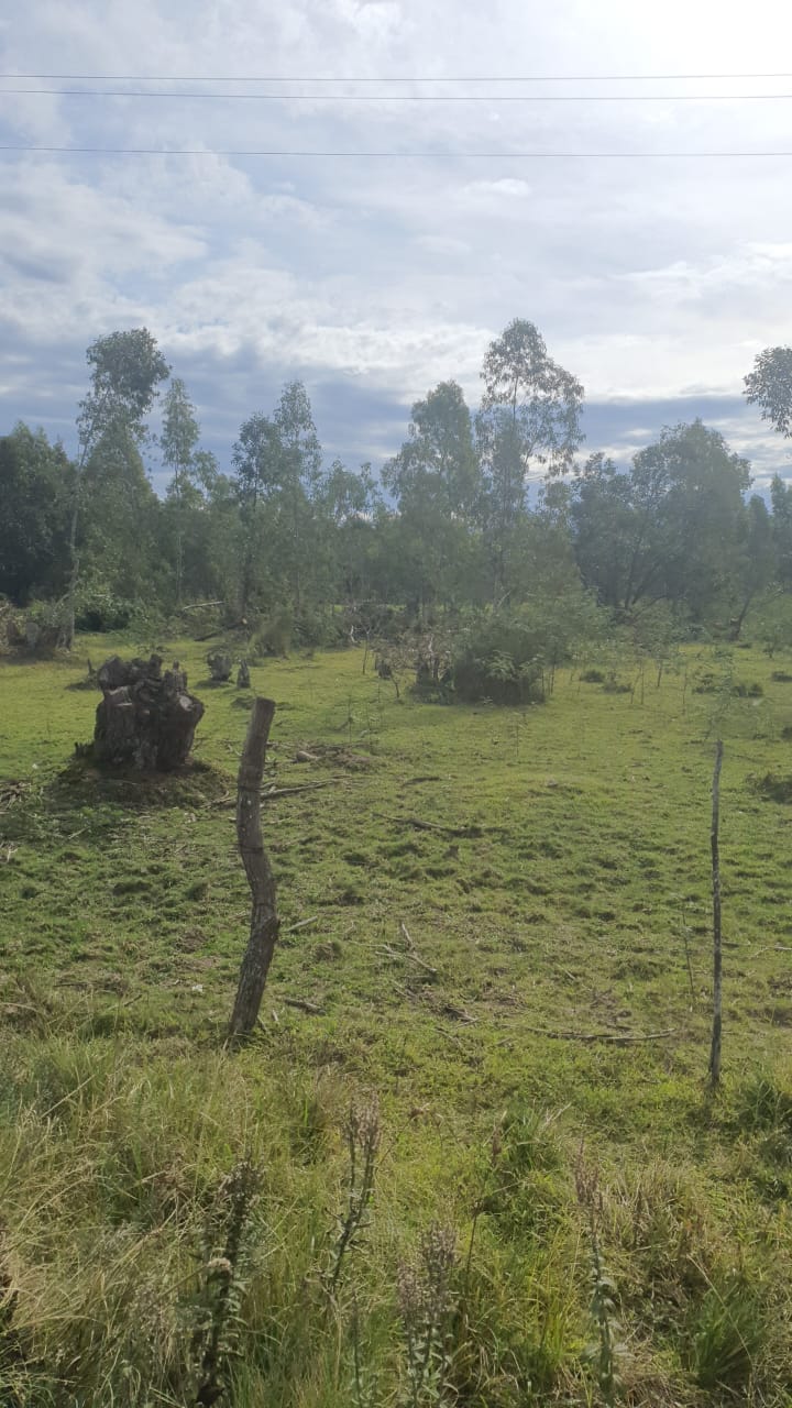 UMA FRAÇÃO DE CAMPO DE 321.000,00 M²