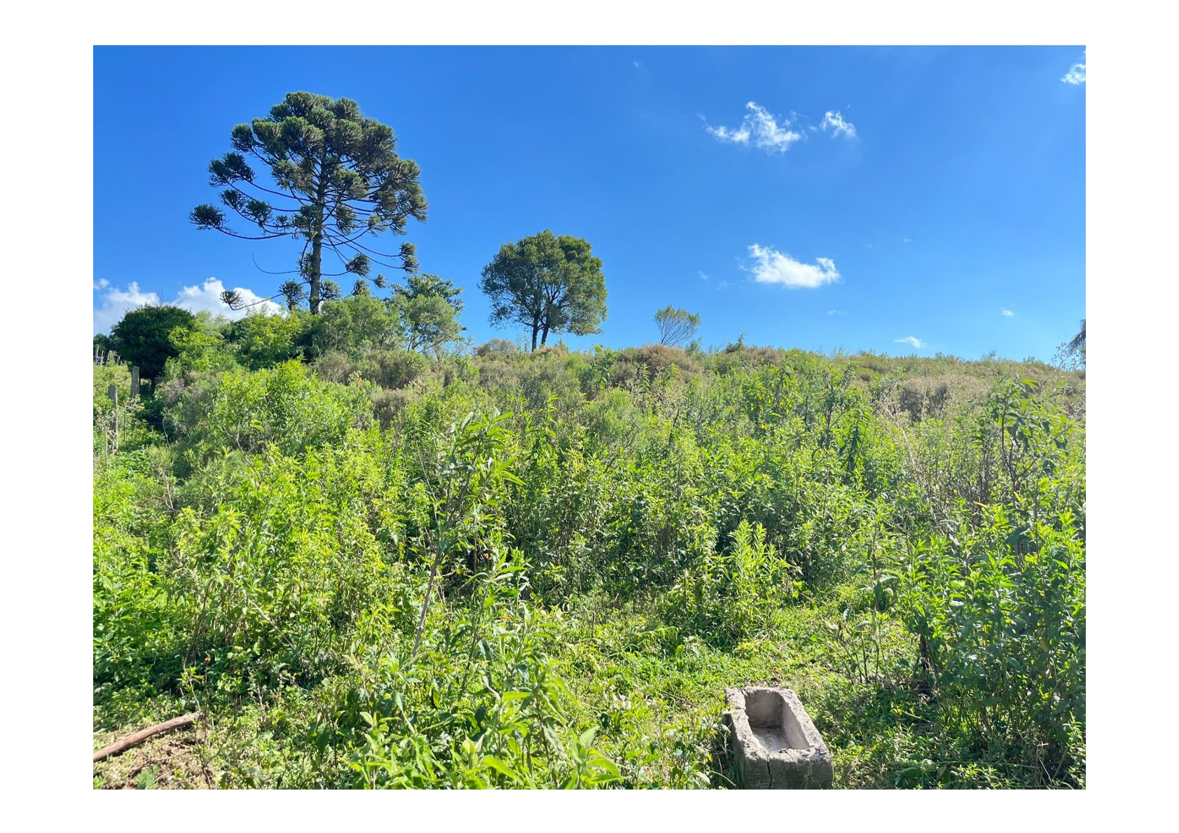 Uma Fração de terras de 140.000 m², Matr. 2.662 CRI Agudo