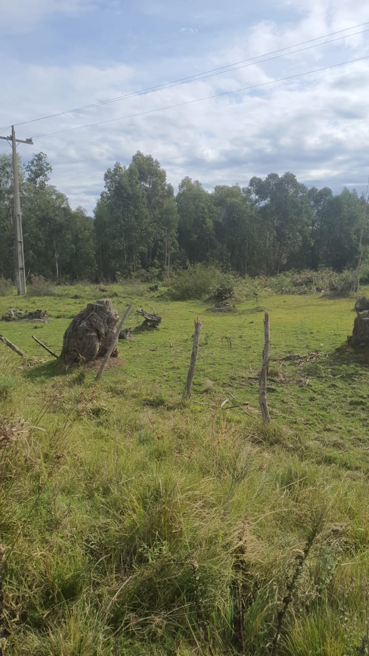 UMA FRAÇÃO DE CAMPO DE 321.000,00 M², localizado em Rosário Do Sul - RS