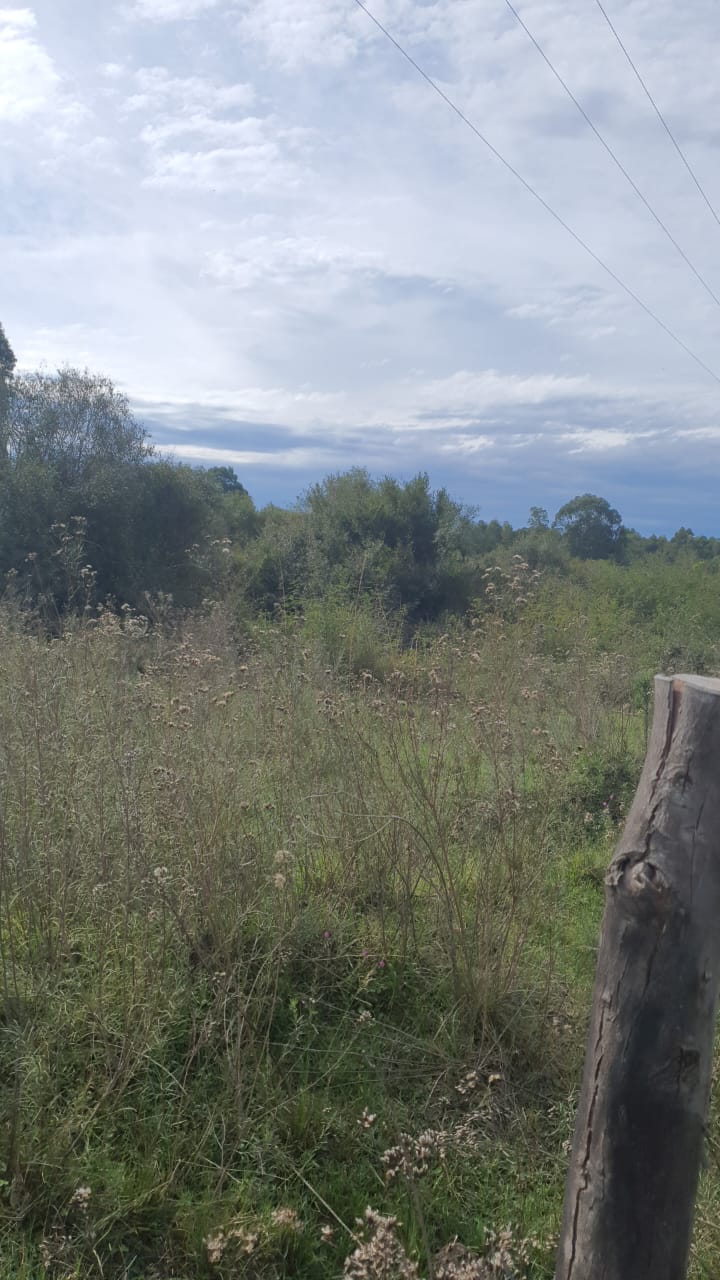 UMA FRAÇÃO DE CAMPO DE 321.000,00 M², localizado em Rosário Do Sul - RS